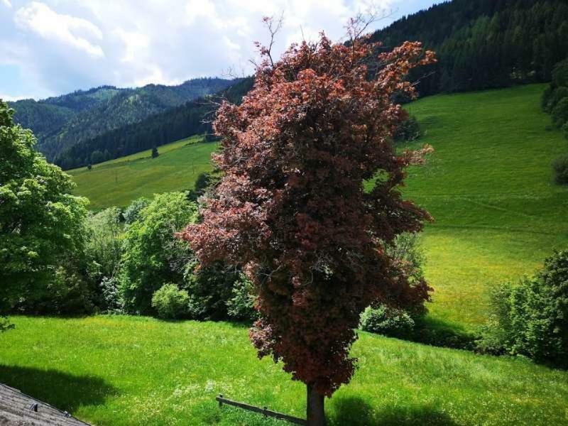 Haus Elsasser Sankt Johann am Tauern Bagian luar foto